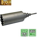 BOSCH(ボッシュ) ポリクリックシステム ダイヤモンドコアセット65mmφ (SDSプラスシャンク) PDI-065SDS