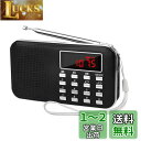 LEFON 充電式 多機能 AM FMポケットラジオ USB.microSDカード対応 MP3プレーヤー LEDライト ポータブルラジオ (黒い)