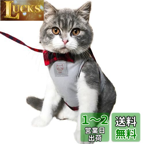 IKENOKOI 猫用ハーネス 牽引ロープ 胴輪 犬用リード お散歩用 お出かけ 簡単脱着式 高い通気性 可愛いデザイン(グレー M)