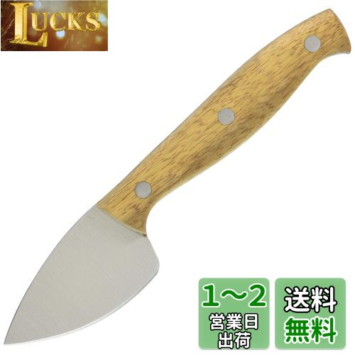 ƣ° SALUS  ʥ ɥʥ 16.8cm