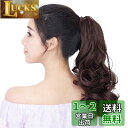 YJINCO ポニーテール エクステ ウィッグ カール ロング 巻き髪 ポイントウィッグ つけ毛 ヘアークリップ エクステンション 耐熱 180度 YJWM013-bbrn
