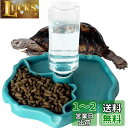 IKENOKOI爬虫類 食器 自動給水 餌入れ 水入れ 亀/トカゲ/蛇/やもりなど爬虫類専用(ブルー)