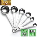 AOOSY 計量スプーン6本セット 小麦粉計り目盛りスプーン ステンレス鋼製 欧米輸出 洗濯便利の一体スプーン 家族用