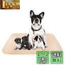 ULIGOTA ペットシーツ 洗える 猫 犬用 おしっこパッド ペット用 トイレ下敷きマット 速乾 洗える ポリエステル 大判サイズ 多頭飼いに最適(ベージュX...