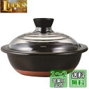 HARIO(ハリオ) フタがガラスの土鍋9号 3000ml GDN-255-B ブラック