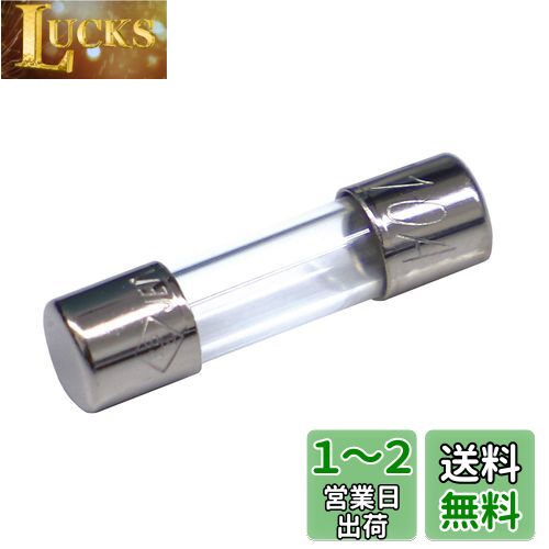 エーモン(amon) ミニ管ヒューズ 10A (約φ5.2×長さ約20mm) 5本入 3664