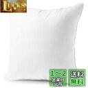 クッション 中身 55×55cm 単品 綿100%側生地 綿を贅沢に詰め込み 中綿増量15% 潰れない ソファークッション ヌードクッション 洗える 抗菌防臭 防カビ 柔らかい Phantoscope