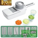 FOOKO スライサー 千切り 野菜カッター せんぎり 調理器セット 厚み調節 多機能 プログレード やさしいおろし器 キャベツ だいこん