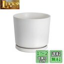 Ekirlin 植木鉢 陶器鉢 大型 9号 24cm 受け皿付き 穴付き おしゃれ 白 鉢 プランター 鉢植え インテリア 部屋 飾り 観葉植物