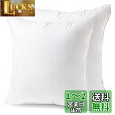 クッション 中身 45×45cm 2個セット 綿100%側生地 綿を贅沢に詰め込み 中綿増量15% 潰れない ソファークッション ヌードクッション 洗える 抗菌...