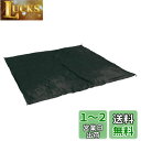 JEELAD 防水タープ グランドシート テント シート フライシート 軽量 防水 遮光 天幕 携帯便利 収納バッグ付き アウトドア 野営 キャンプ 登山 ピクニック