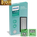 フィリップス 空気清浄機 交換用 フィルター 花粉対応 抗菌 脱臭 除菌 高機能 GoPure(ゴーピュア) Style 5000シリーズ 自動車用 車載用 PHILIPS SNF100X1