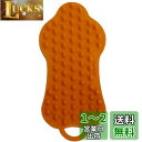 ハリオ (HARIO) ペットのブラシ グルッテ ソフト その他 オレンジ 犬