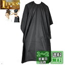 RICISUNG ヘアーエプロン 散髪ケープ 大人用 散髪マント 毛染め 美容エプロン 防水 エプロン 散髪 理容ケープ ヘアカット 調節可能 プロ散髪ケープ ヘアードレッシング 散髪用ケープ 子供用 ヘアサロン 美容師 作業エプロン 折り畳み ブラック