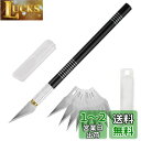 Kimlontonアートナイフプロ デザインナイフ 彫刻刀 細工用カッター (替え刃10枚) 11点セット切り絵 消しゴム はんこ 美術用品 プラモデル用工具