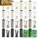 PH PandaHall 金属 アグレット 4 色 靴ひも 留め具 靴紐の金具 32個セット スニーカー パーカー スニーカーの服レース くつ修理 金具 靴紐の...