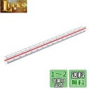 Jimjis 三角スケール 30cm 製図用品 縮尺定規 一般用 プラスチック製 特殊縮尺目盛 大規模 1/100 1/200 1/250 1/300 1/40...
