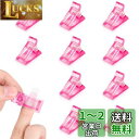 ネイルクリップ 10個セット ネイル固定クリップ アークの溝 Annhua ネイル延長クリップ アクリル 練習 ネイルくりっぷ プロ 初心者 ネイルチップクリッ...