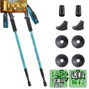 Glvaner トレッキングポール 2本セット トレッキングステッキ 登山 ストック アンチショック機能付 6061アルミ製 軽量300g 3段伸縮式 ウォーキ...