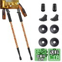 Glvaner トレッキングポール 2本セット トレッキングステッキ 登山 ストック アンチショック機能付 6061アルミ製 軽量300g 3段伸縮式 ウォーキングポール コンパクト お花見 付属品付き 男女兼用 最小65cmまで小さく伸縮 (オレンジ)
