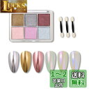 ALLMIRA オーロラパウダー ネイル 固形 6色パレット ネイルパウダー ジェルネイル カラー ネイルパーツ 自宅DIY ?細 スポンジチップ付き (05)
