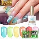 BORN PRETTY ジェルネイル クリアピンク 春夏 透明感ある カラージェル 6色セット UV/LED対応 透明感あり 肌色