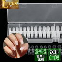 Annhua ネイルチップ 透明 艶消 大容量 300枚 オーバル ショート ネイルちっぷ 練習用 付け爪 ネイル長さだし 透明ネイルチップ 無地 超薄 ネイル...