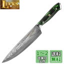Sunnecko 包丁 牛刀 ダマスカス包丁 73層 203mm キッチン よく切れる 家庭用 両刃包丁 ステンレス 高級 プレゼント