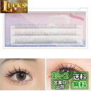 nalaina 部分つけまつげ 下つけまつげ ナチュラル 下まつげ 極薄 v型下つけまつげ 5-6-7mm 初心者 薄化粧 生活化粧 日常用 部分つけま ブラック