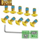 LEONTOOL 自転車ディスクブレーキローターボルト M5 x 10mm 自転車ローターねじ 12本入り ブレーキディスク 自転車ディスクローター フローティ...