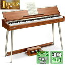Donner 電子ピアノ 88鍵盤 ハンマーアクション 木製 MIDI対応 半開き蓋付き 3本ペダル スタンド アダプター付 初心者 入門 自宅練習 日本語説明書 茶色 DDP-80 PLUS