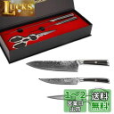 Sunnecko 包丁セット ダマスカス 包丁 牛刀 ペティナイフ キッチンハサミ 203mm