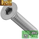 キタコ(KITACO) 皿キャップボルト(ステンレス) M6×P1.0×30mm/2個入り 汎用 K-CON 0900-060-30004