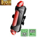 ziyue セーフティーライト 自転車 テールライト usb充電式 高輝度led 防水 4点灯モード リアライト (レッド)