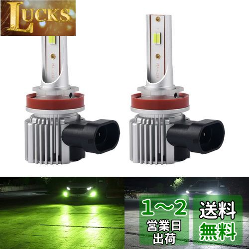 Catland 2ڤؤ ե إåɥ饤 H8 H11 H16 LED 󥤥 ۥ磻 ե Х 饤।...