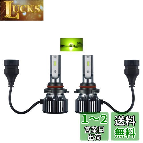 Catland LED ե HB4 󥤥 ե 9006  ŵ  LED  ե/إåɥ饤...