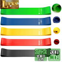 roseddy トレーニングチューブ レジスタンスバンド 天然ラテックス フィットネスバンド ヨガ 5つの異なる強度エクササイズバンドドセット 自宅 筋トレ 美...