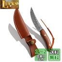 【送料無料】Dcenrun アウトドアナイフ フィッシングナイフ フルタング構造 シース サバイバル バーベキュー キャンプ 登山 魚釣り 果物ナイフ 【送料無料】Dcenrun アウトドアナイフ フィッシングナイフ フルタング構造 シース サバイバル バーベキュー キャンプ 登山 魚釣り 果物ナイフ