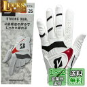BRIDGESTONE(ブリヂストン) ゴルフグローブ STRONG DUAL GLG21 メンズ