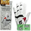 BRIDGESTONE(ブリヂストン) ゴルフグローブ STRONG DUAL GLG21 メンズ