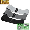 TheFitLife ヒップバンド 美尻 高耐久 トレーニングチューブ ストレッチ 内転筋 レジスタンスバンド トレーニング器具 エクササイズ 肌に優しい 筋ト...