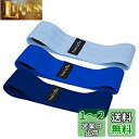 TheFitLife ヒップバンド 美尻 高耐久 トレーニングチューブ ストレッチ 内転筋 レジスタンスバンド トレーニング器具 エクササイズ 肌に優しい 筋ト...
