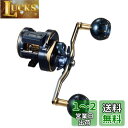 ダイワ(DAIWA) カウンター付キオフショアベイトリール ソルティガIC 100HL-DH