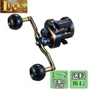 ダイワ(DAIWA) カウンター付キオフショアベイトリール ソルティガIC 100H-DH