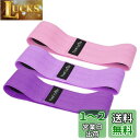 TheFitLife ヒップバンド 美尻 高耐久 トレーニングチューブ ストレッチ 内転筋 レジスタンスバンド トレーニング器具 エクササイズ 肌に優しい 筋ト...