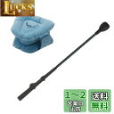 Tabata(タバタ) ゴルフ 素振り トレーニング 練習器具 スイング練習機 ゴルフ練習用品 三角先生 Fit トルネードスティック モデルグリップ 室内 シ...