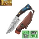 Irai Utaki ナイフ アウトドア 刃長11.5cm 【稲妻・イナズマ】フルタング構造 9Cr18MoV ステンレス 炭素鋼 刃厚4.5 mm DIY バトニング 料理 釣り 防災 小型ナイフ(4)