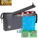 ICECO ミニ保冷バッグ クーラーボックス 4L 極厚断熱材・保冷剤2個付き ソフトクーラー 小型 軽量 保冷 クーラーボックス アウトドア キャンプ ピクニック 抗菌 扱いやすい 取り外し可能なストラップ付き 正規品 (グレー)