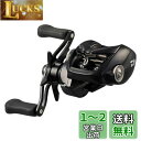 ダイワ(DAIWA) ベイトリール 24TATULA TW 100H