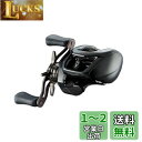ダイワ(DAIWA) バスベイトリール 24STEEZ(スティーズ) SV TW 100 (2024年モデル)